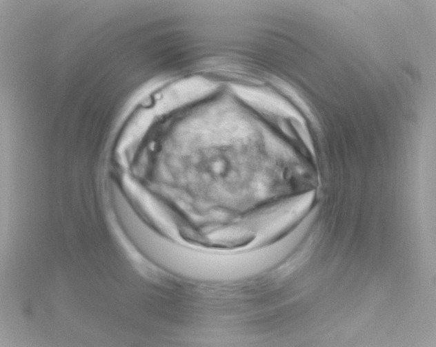 X0000115061434200911231205