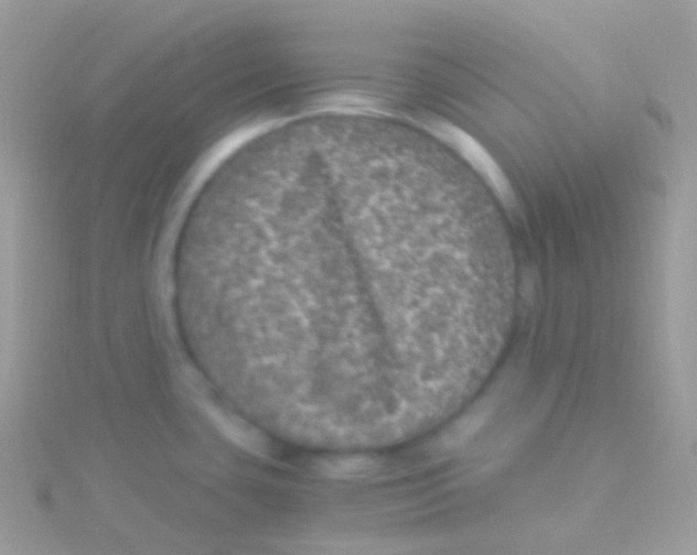 X0000115061435200911231205