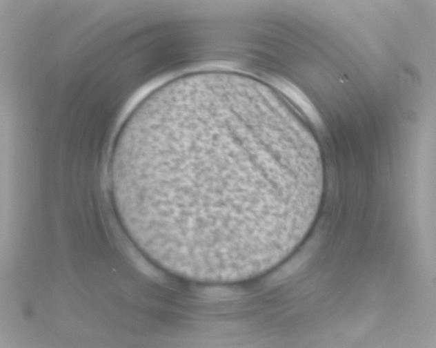 X0000115061436200911231205