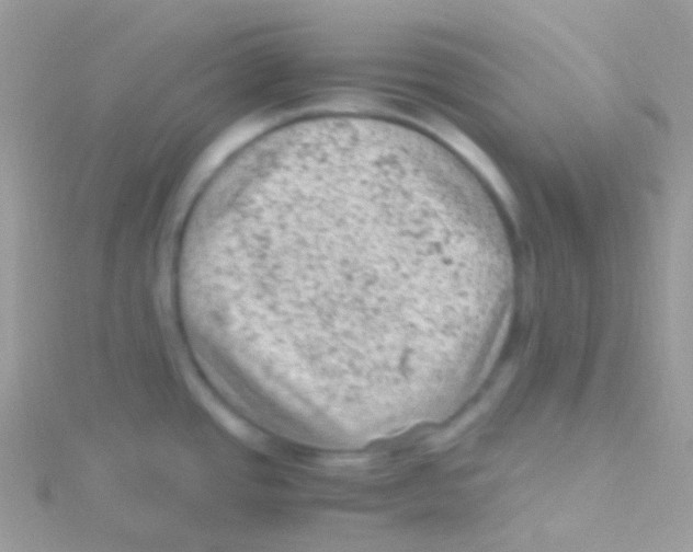 X0000115061437200911231205