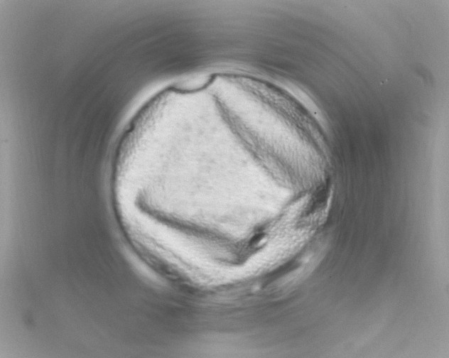 X0000115061438200911231205