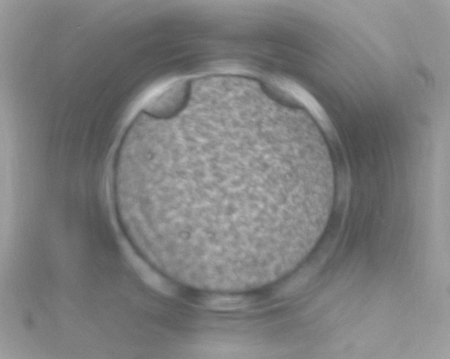 X0000115061439200911231205