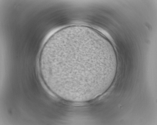 X0000115061440200911231205