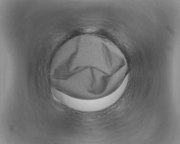 X0000115061441200911231204