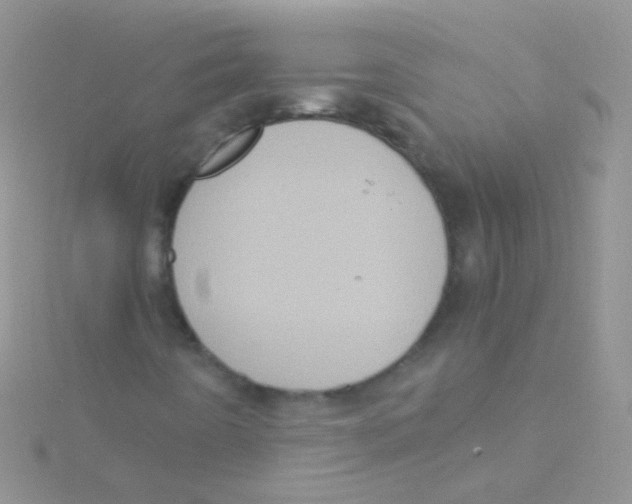 X0000115061442200911231204