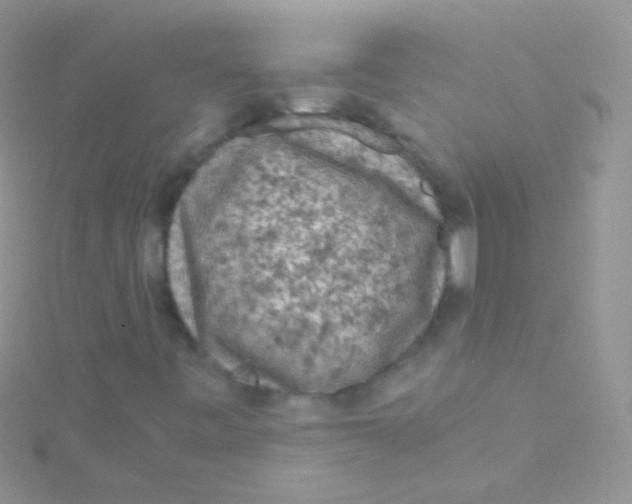 X0000115061443200911231204