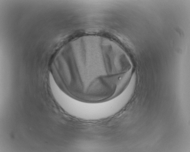 X0000115061445200911231204