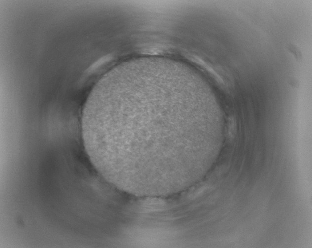 X0000115061446200911231204