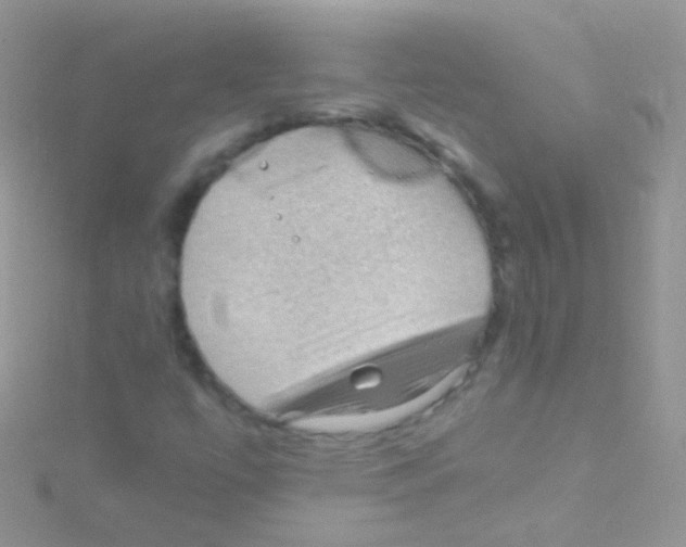 X0000115061447200911231204