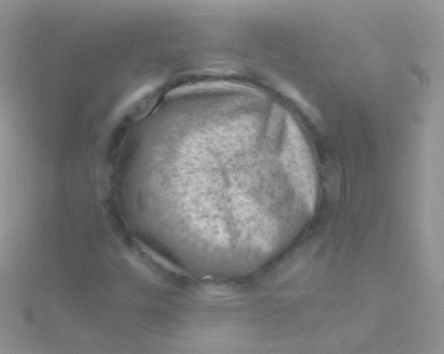 X0000115061448200911231204