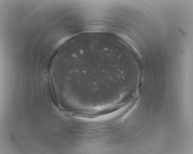 X0000115061449200911231204