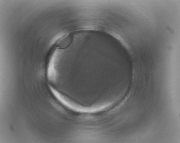 X0000115061450200911231204