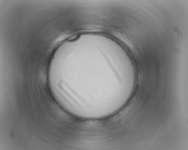 X0000115061451200911231204