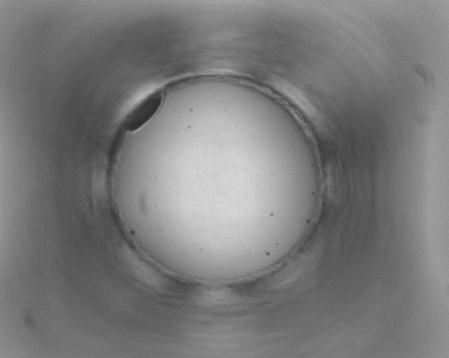 X0000115061452200911231204