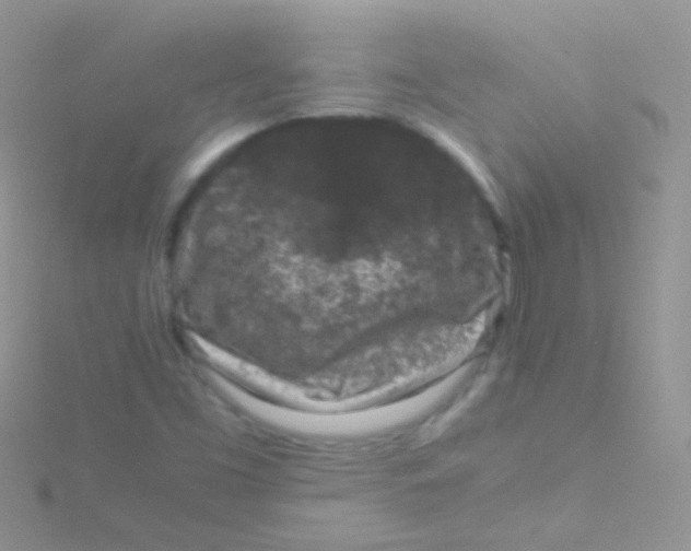 X0000115061453200911231204