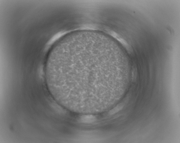 X0000115061454200911231204