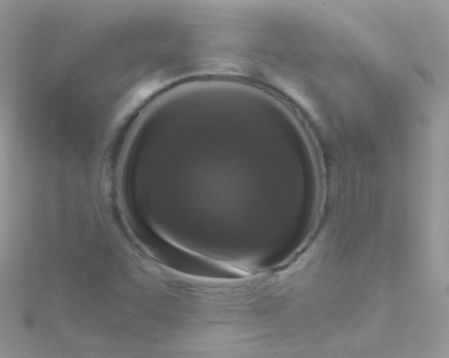 X0000115061455200911231204