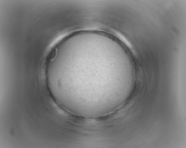 X0000115061456200911231204