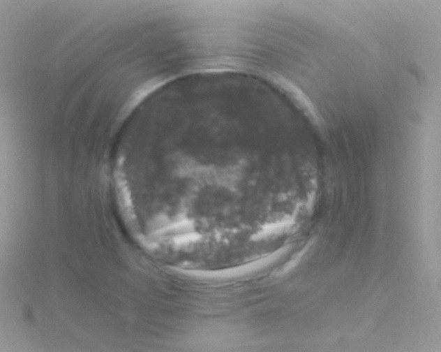 X0000115061457200911231204