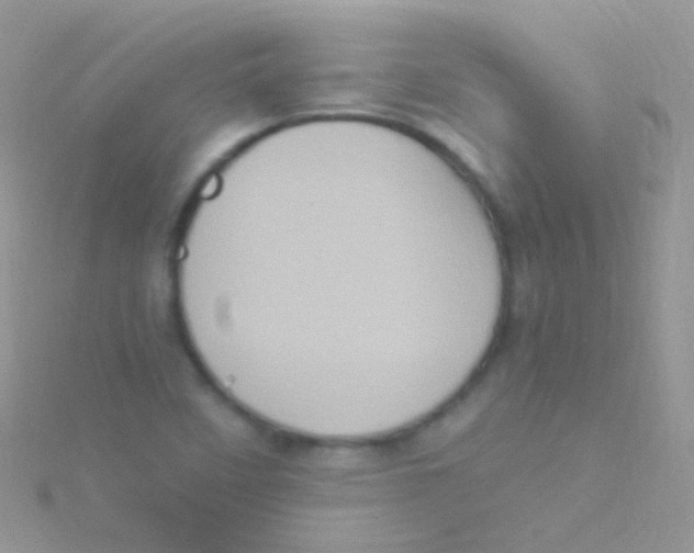 X0000115061458200911231204