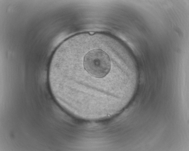 X0000115061459200911231204