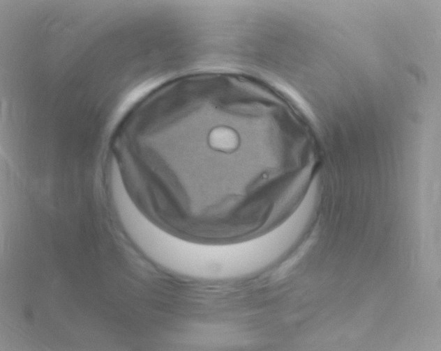 X0000115061461200911231204