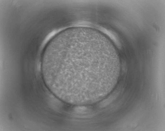 X0000115061462200911231204