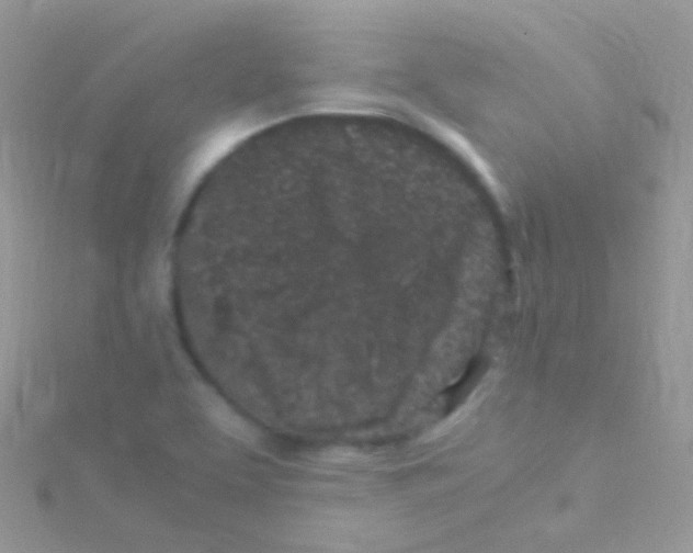 X0000115061463200911231204