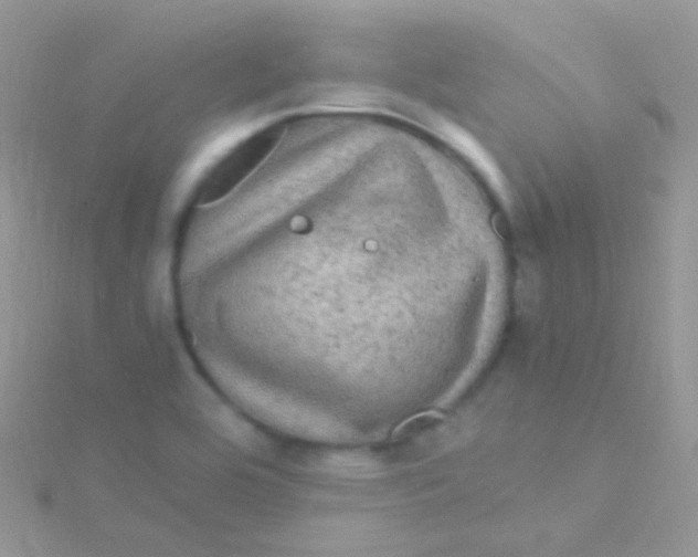 X0000115061464200911231204