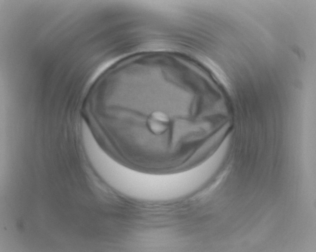 X0000115061465200911231204