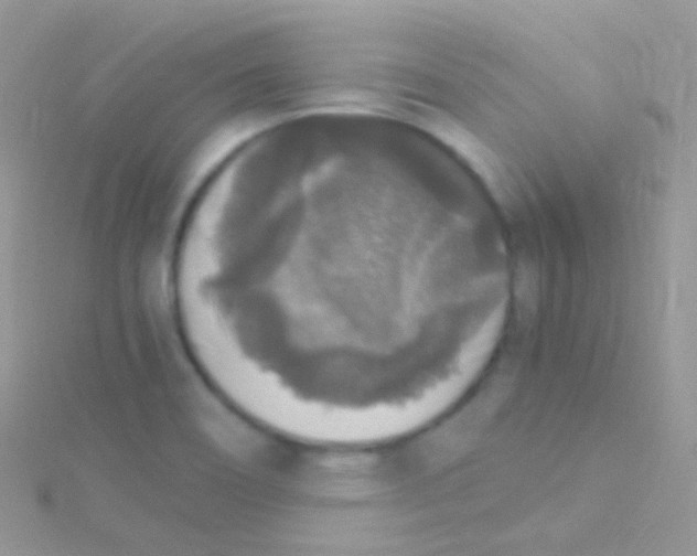 X0000115061466200911231204