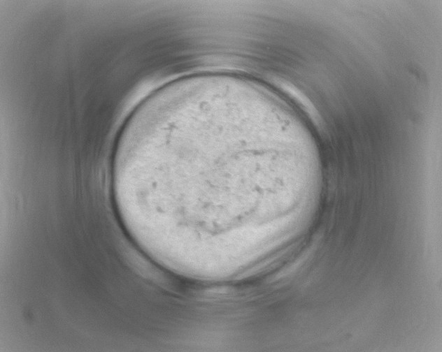 X0000115061467200911231204