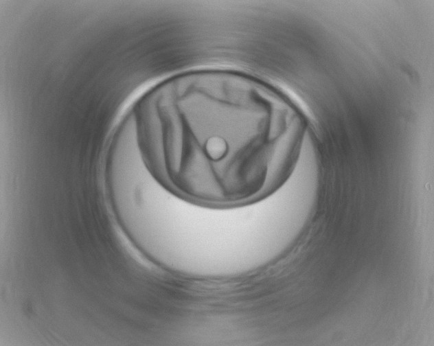 X0000115061468200911231204