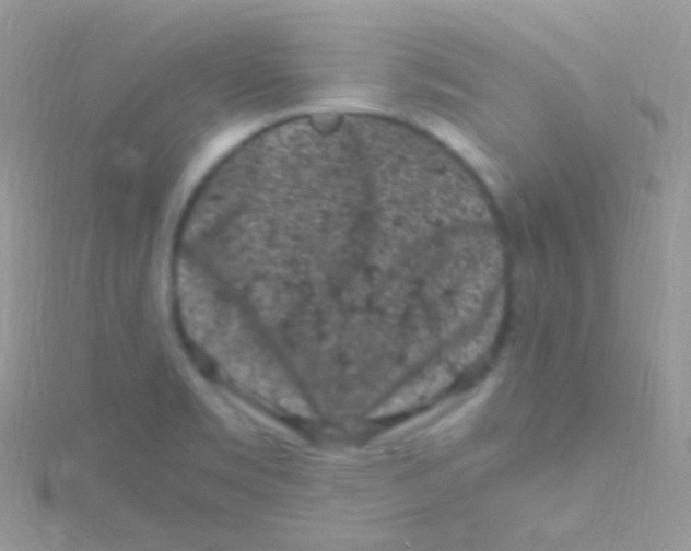 X0000115061469200911231204