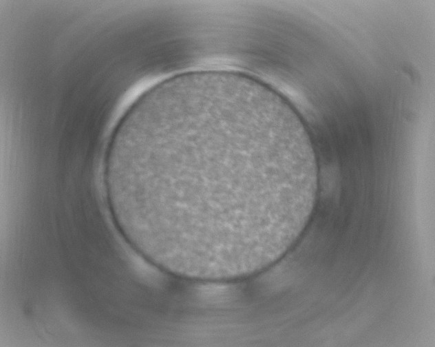 X0000115061470200911231204