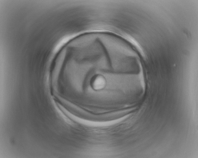 X0000115061472200911231204