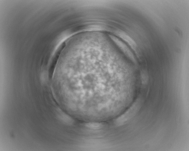 X0000115061473200911231204