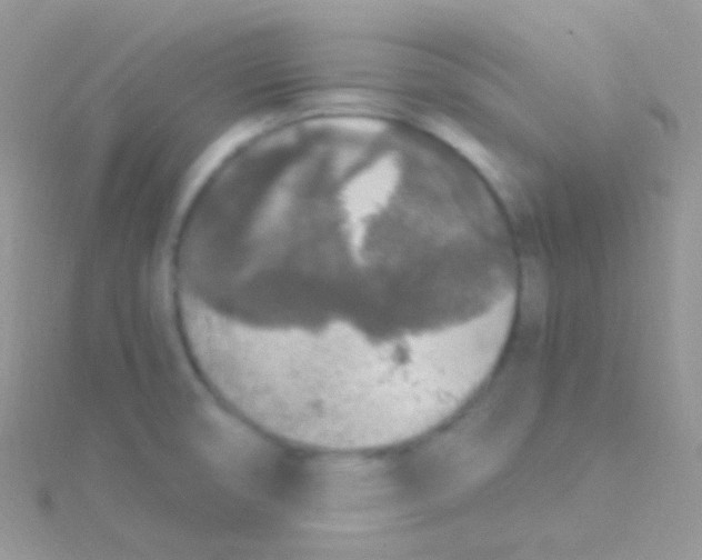 X0000115061474200911231204