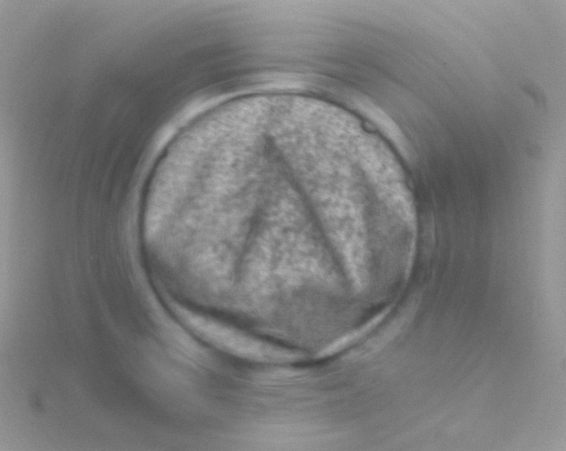 X0000115061475200911231204