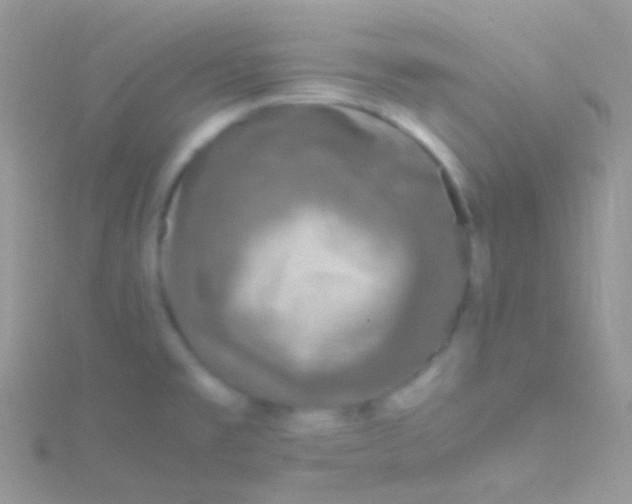 X0000115061477200911231204