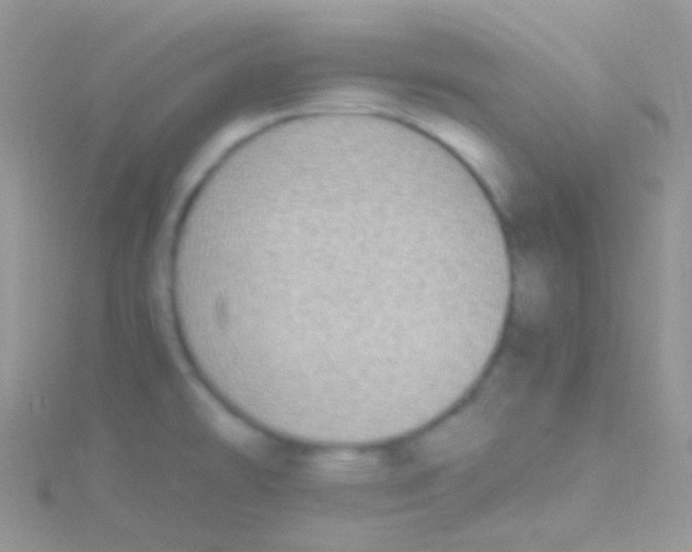 X0000115061478200911231204