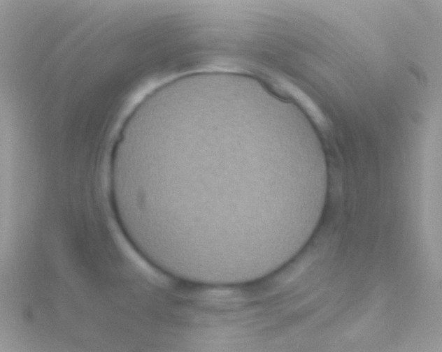 X0000115061479200911231204