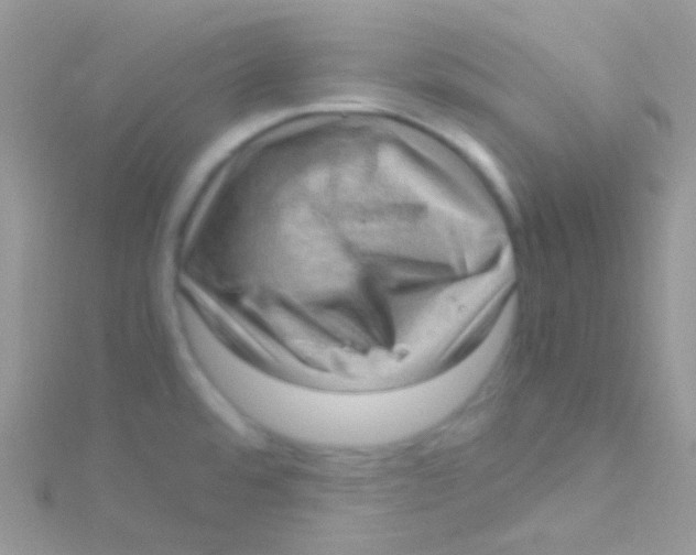 X0000115061480200911231204