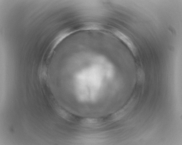 X0000115061481200911231204