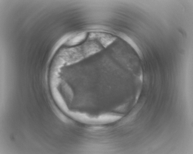 X0000115061482200911231204