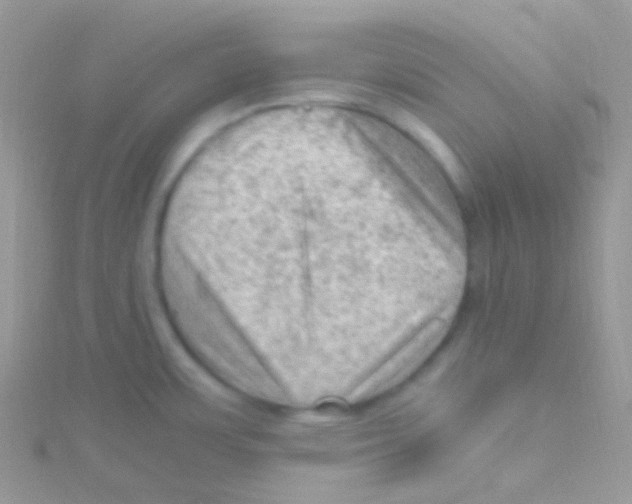 X0000115061483200911231204