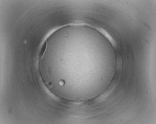 X0000115061484200911231204