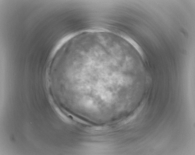 X0000115061485200911231204