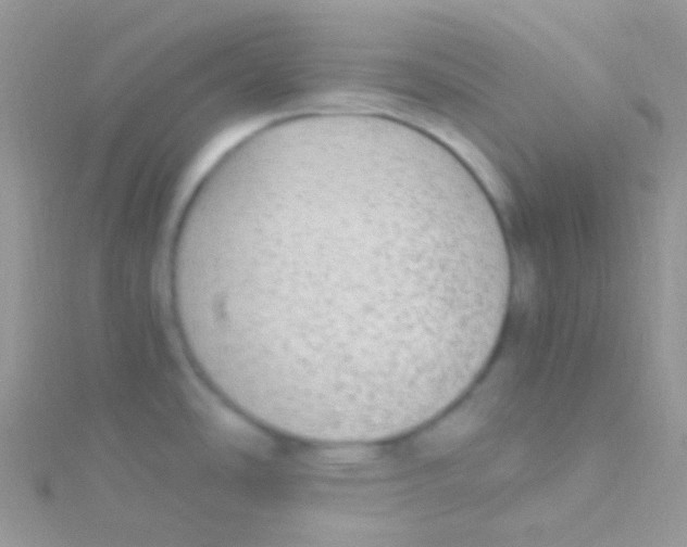 X0000115061486200911231204