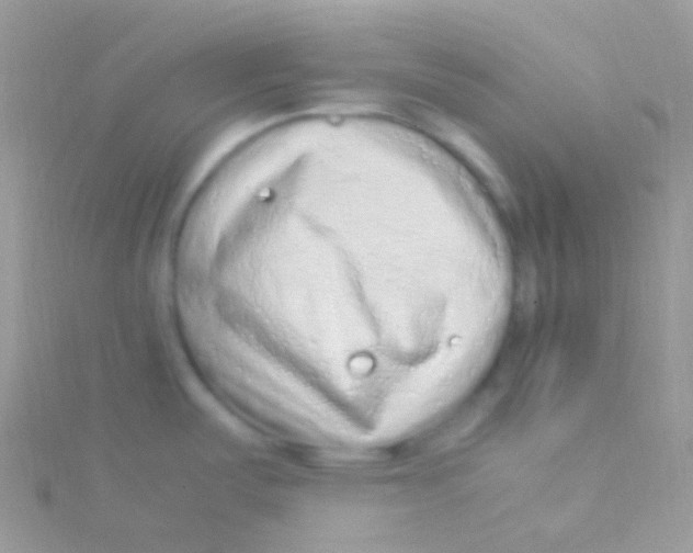 X0000115061487200911231204